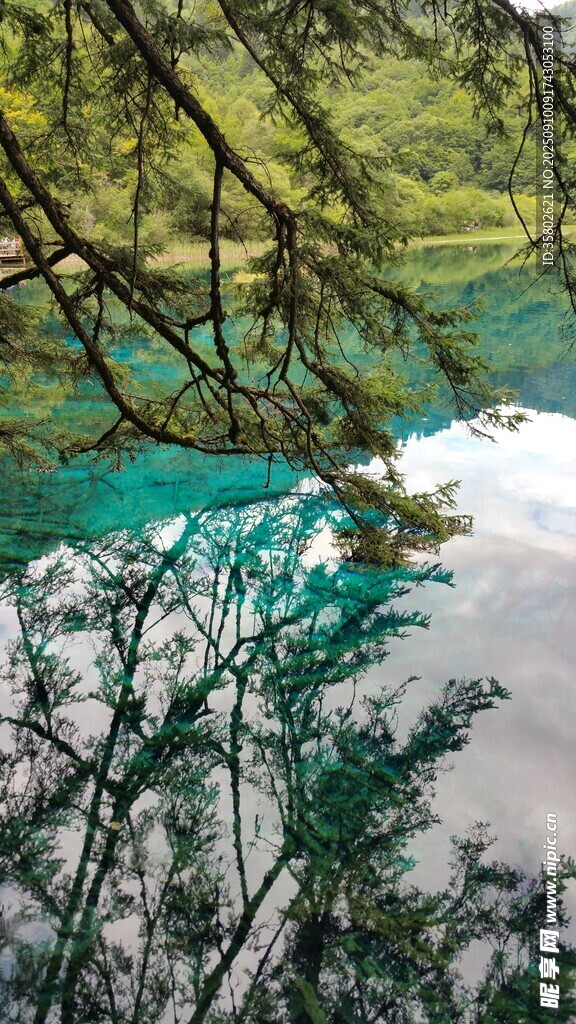 林間窺碧水