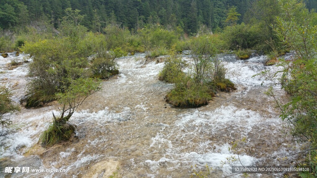 山間湍急溪流與綠植景觀