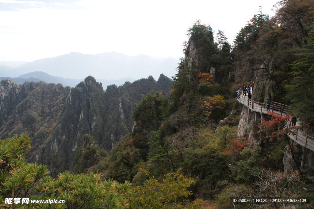 山間棧道蜿蜒于翠綠山林