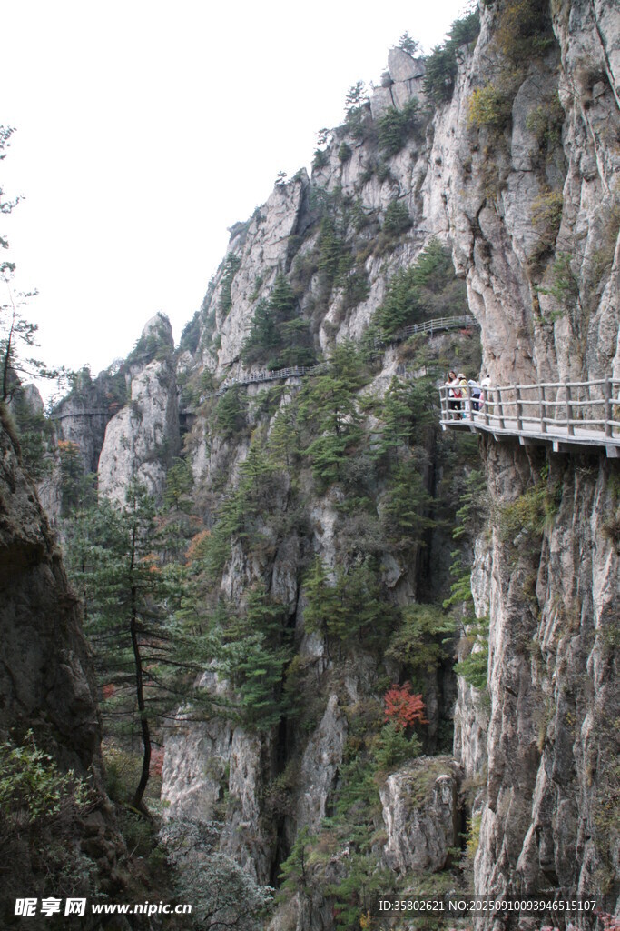 懸崖棧道穿梭于青山間