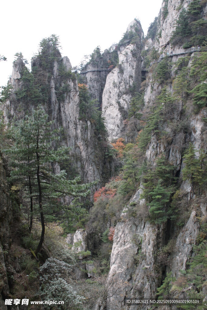 奇峰林立的山林景觀