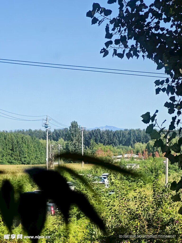 屋后綠意盎然的自然景致