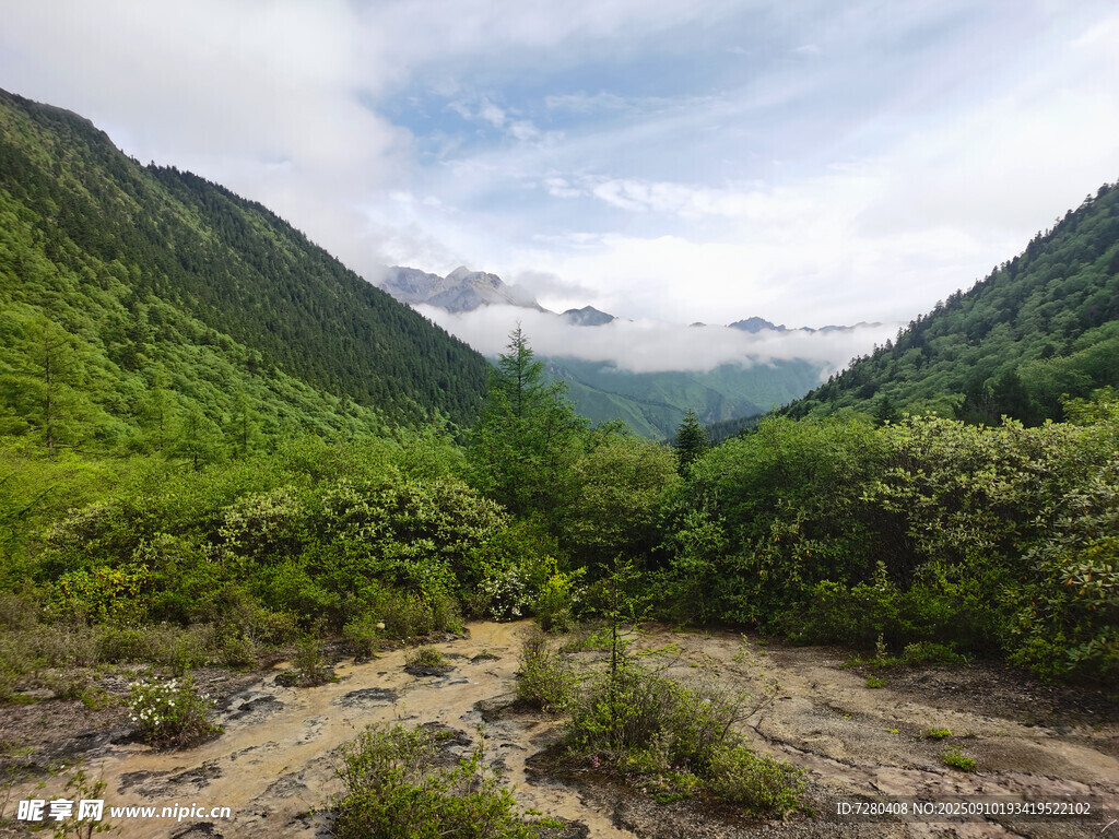 山間綠野云霧繚繞之景