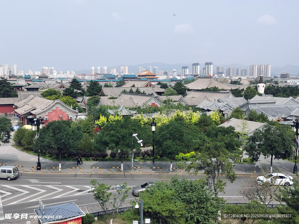 城市街景中的綠樹與建筑