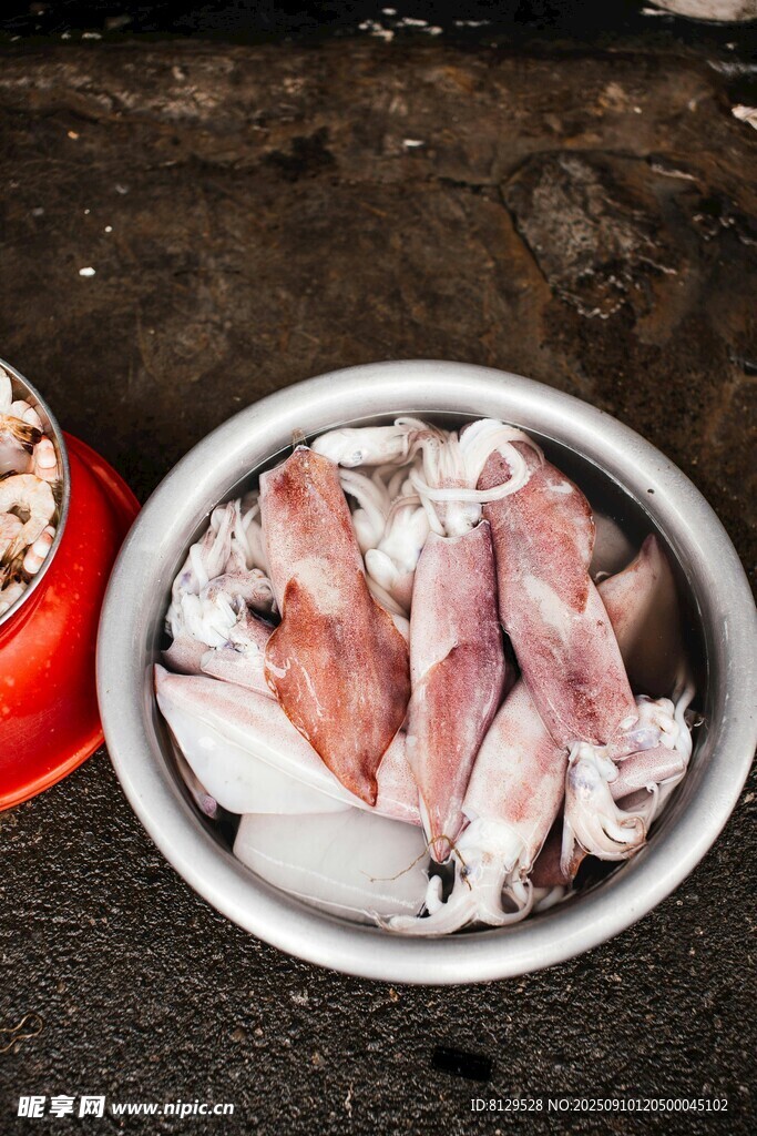 盆中新鮮魷魚
