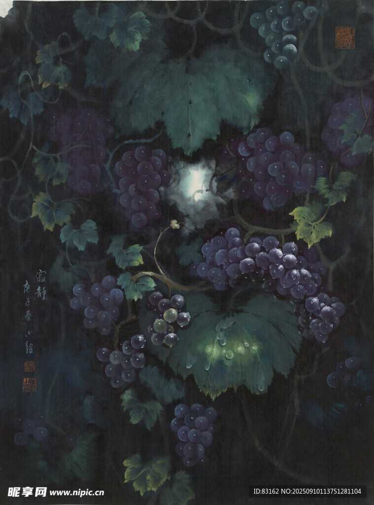 月夜下的葡萄藤