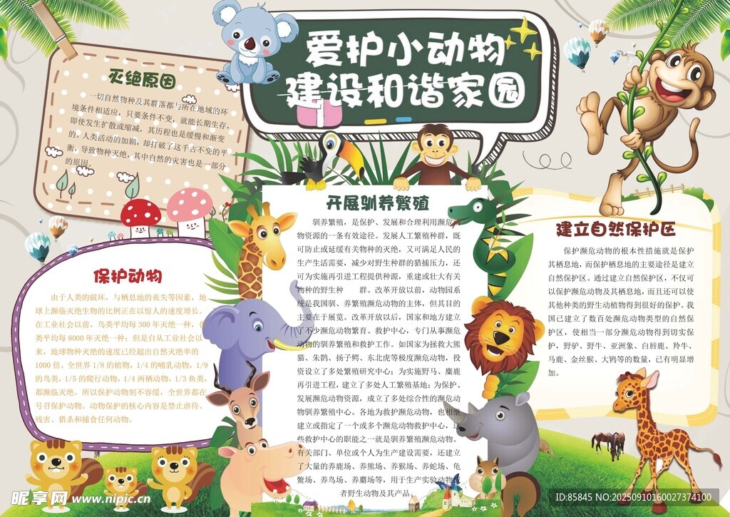 愛護(hù)動(dòng)物手抄報(bào)