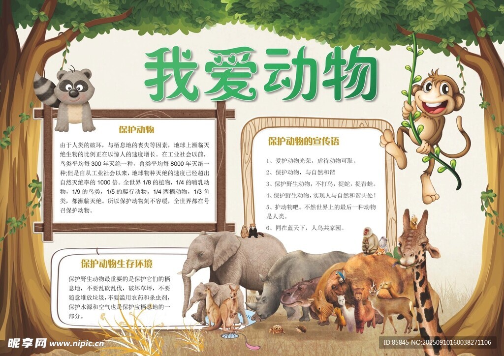 愛護動物手抄報