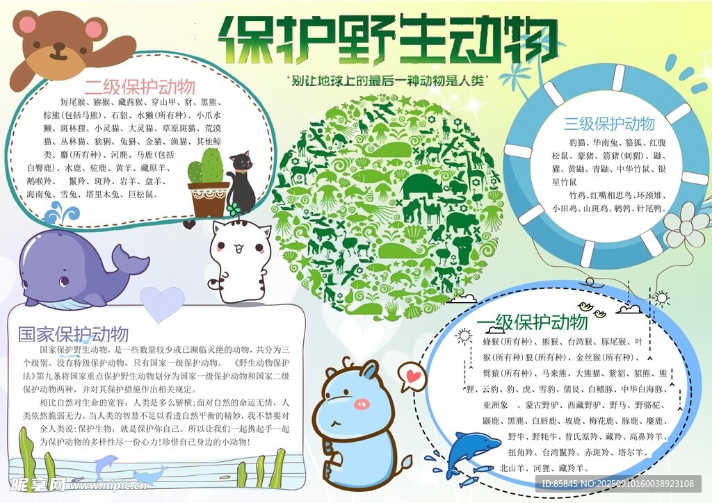 愛護動物手抄報