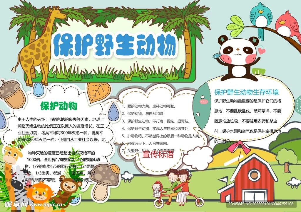 愛護動物手抄報