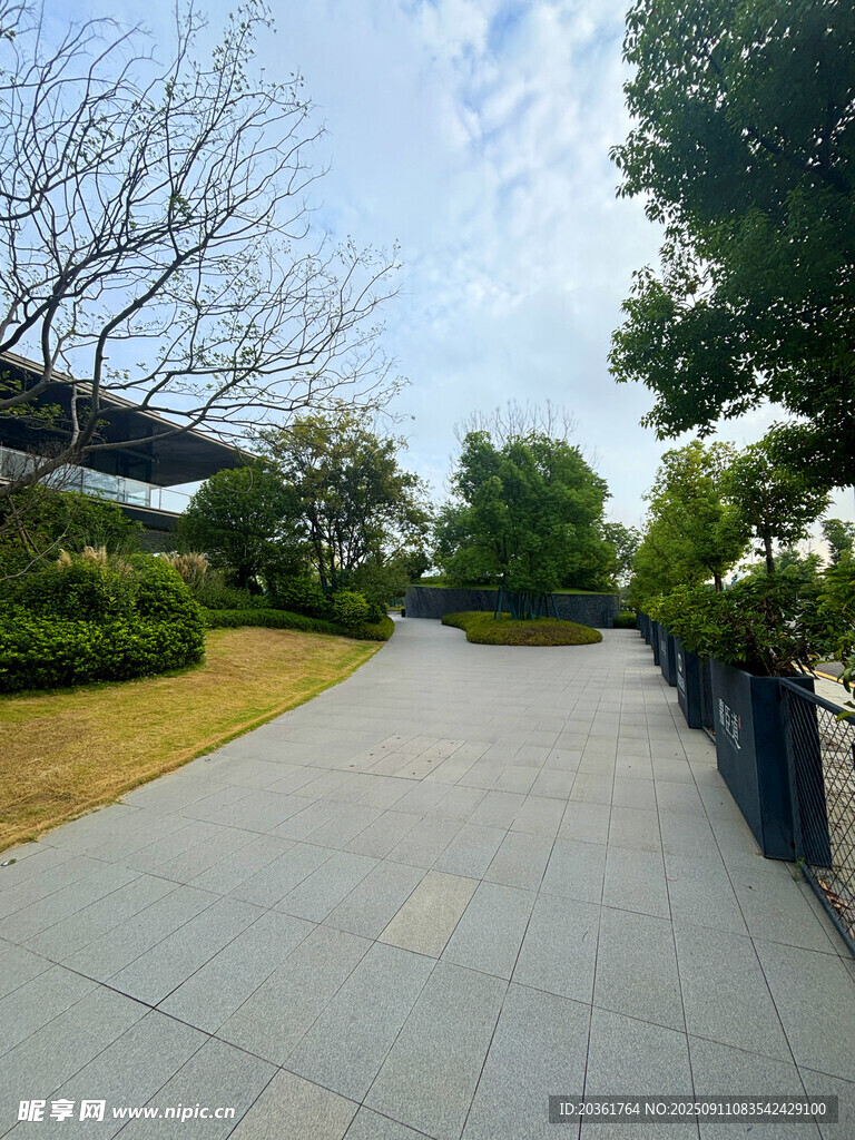 城市中的靜謐林蔭步道
