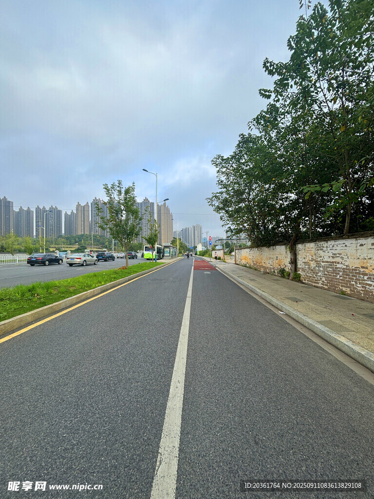 城市空曠道路與綠樹景觀