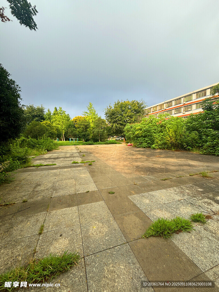 廢棄場(chǎng)地的荒蕪景象