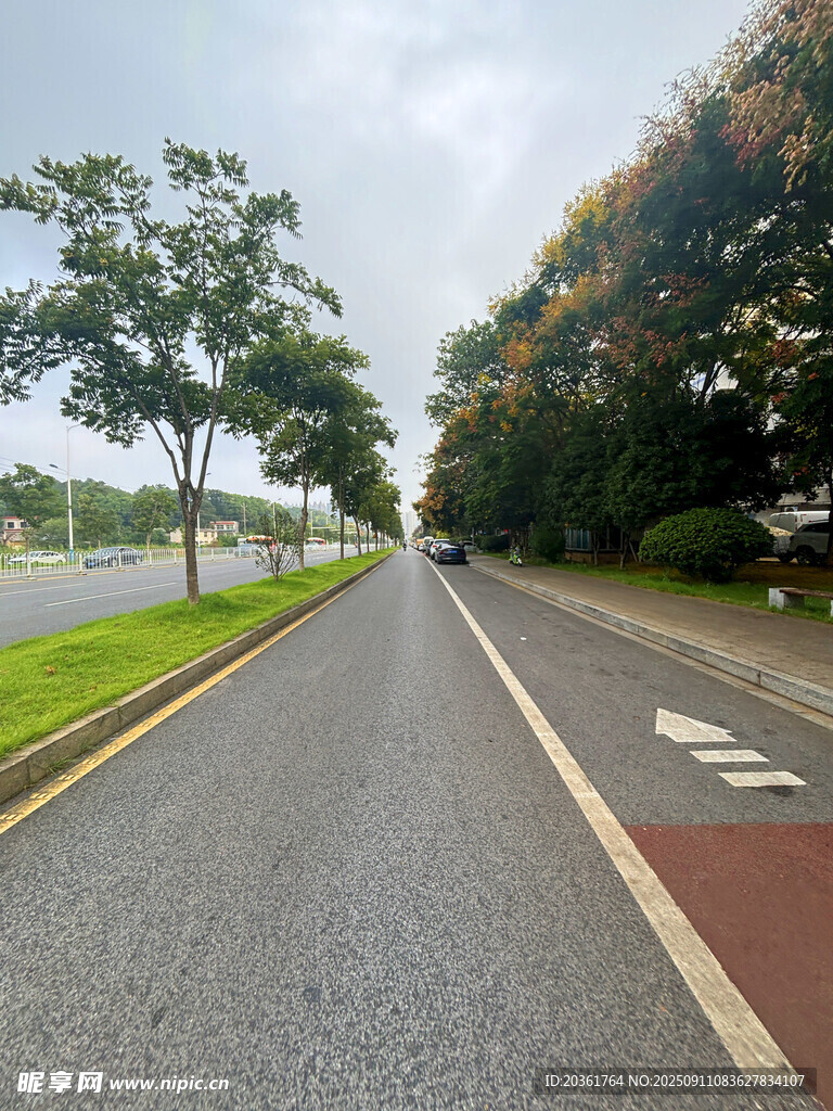 寬闊整潔的城市林蔭道路