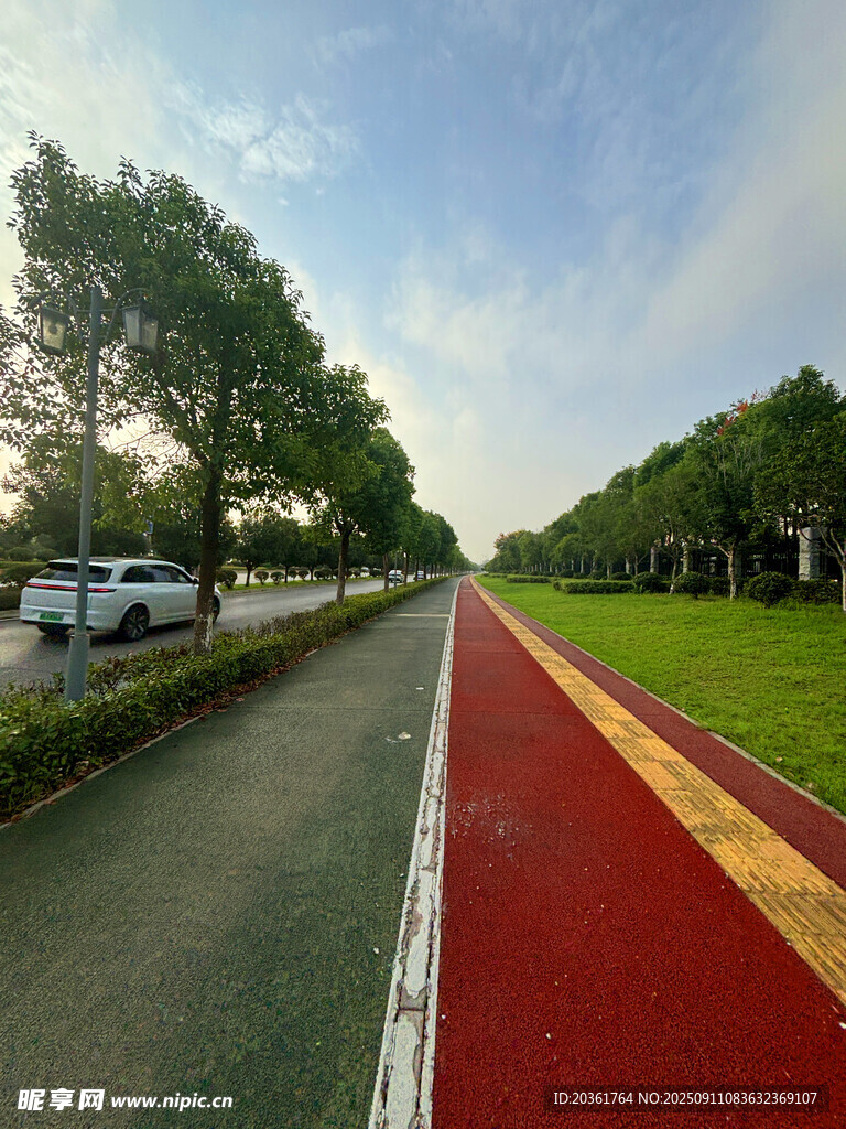 城市彩色步道與綠樹景觀