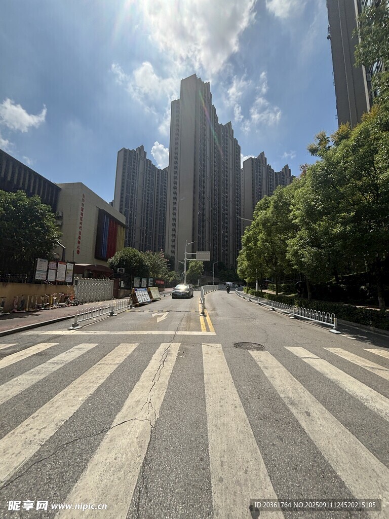 城市街道斑馬線與高樓