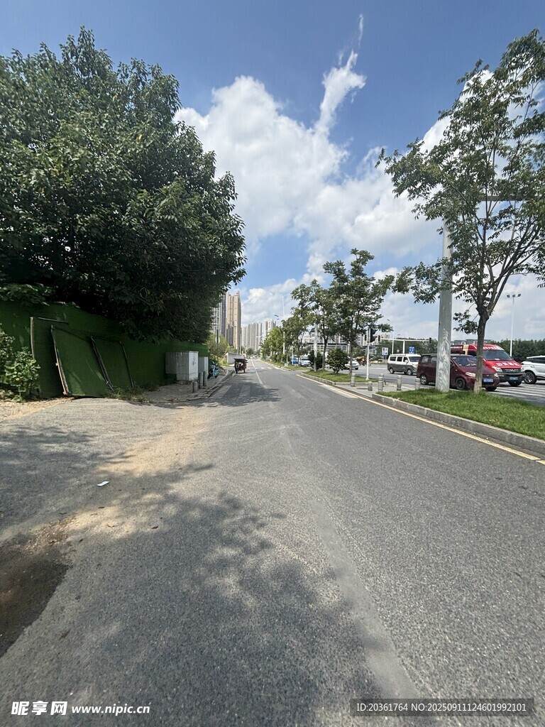 城市林蔭道路風景
