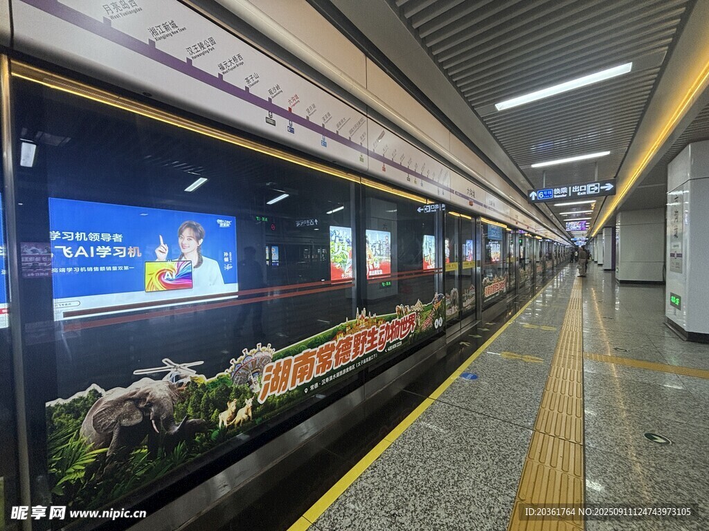 地鐵車廂內(nèi)的花卉裝飾景觀