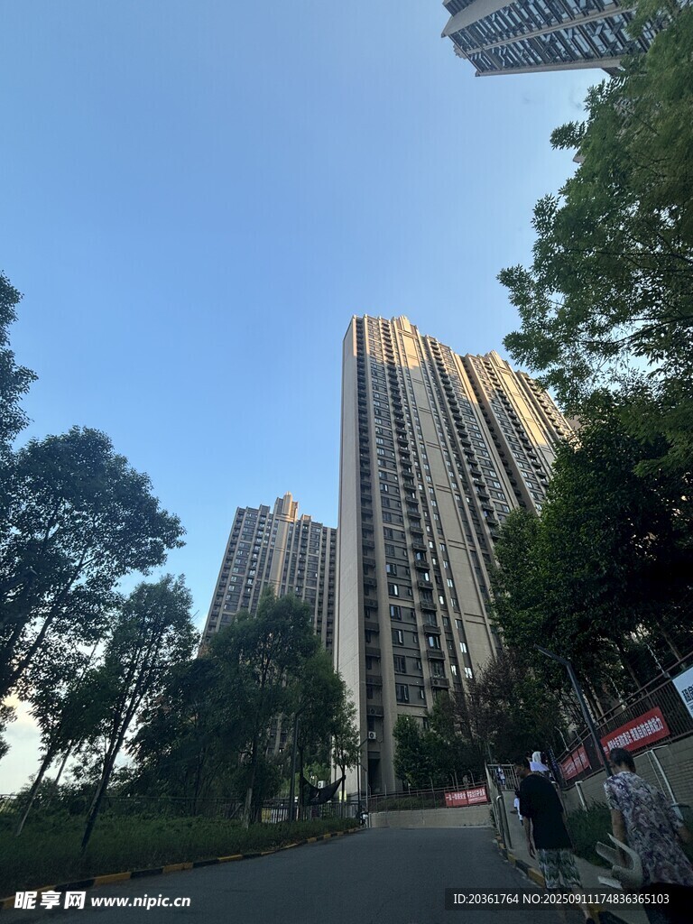 城市高樓旁的綠樹街道