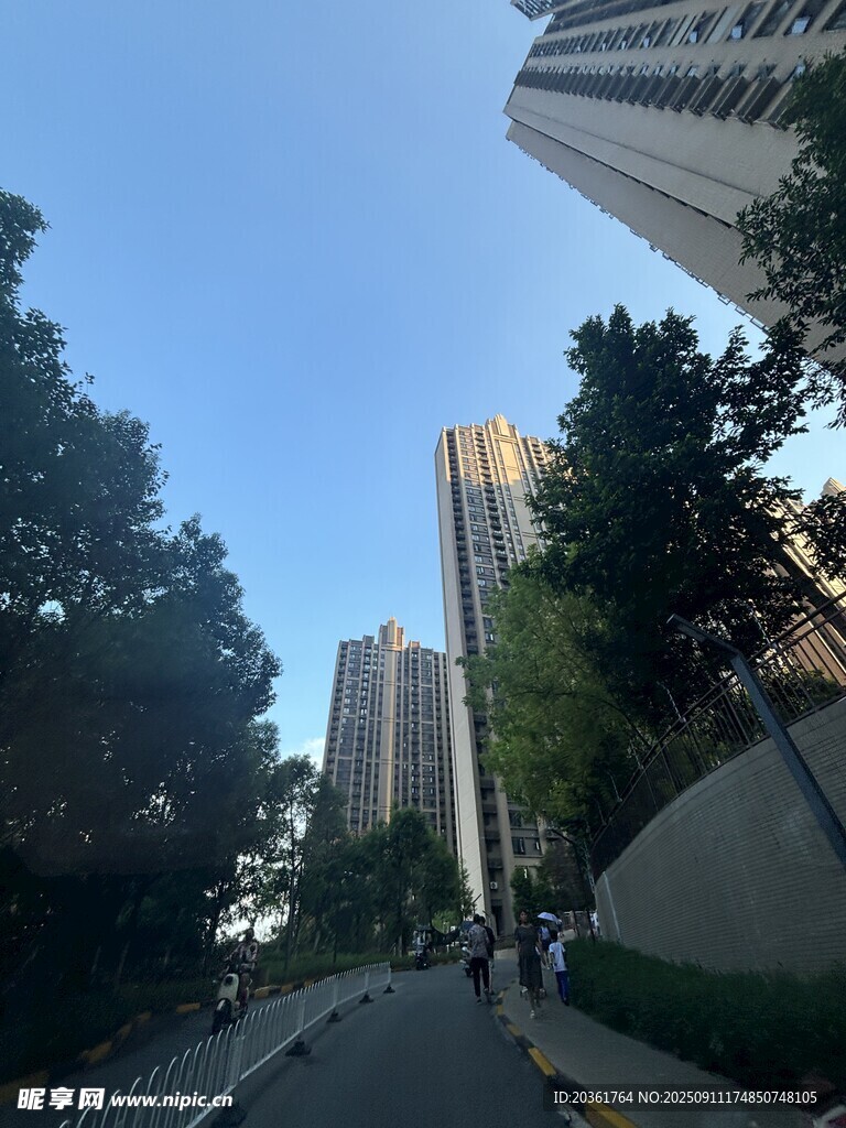 城市道路旁的高樓與綠樹