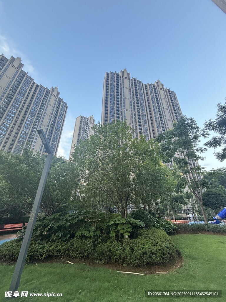 城市綠地旁的高樓景觀