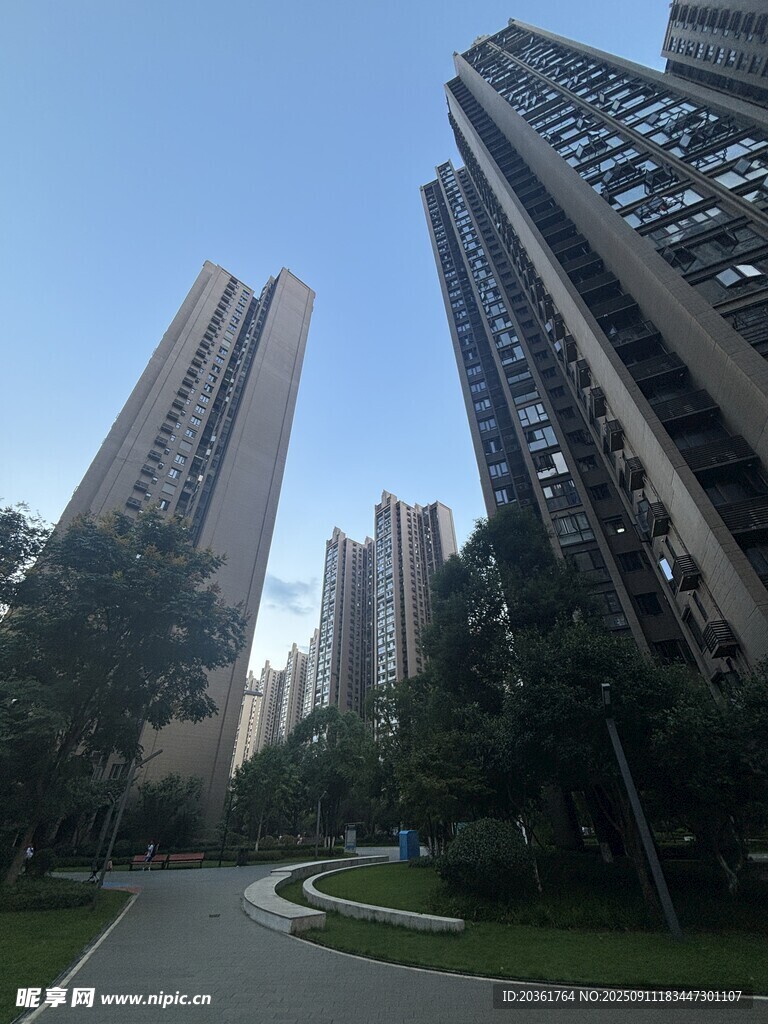 城市高樓旁的綠化道路