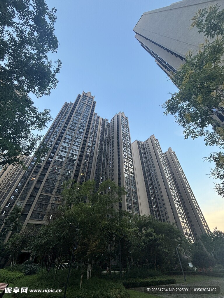 高層住宅旁的綠樹景觀