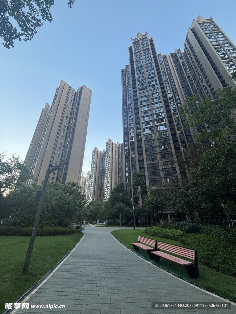 城市中的高樓與林蔭步道