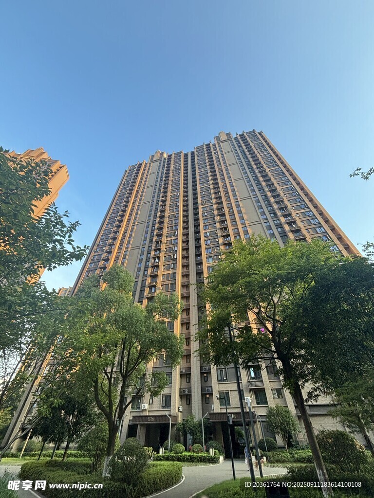 高層住宅旁的綠樹景觀