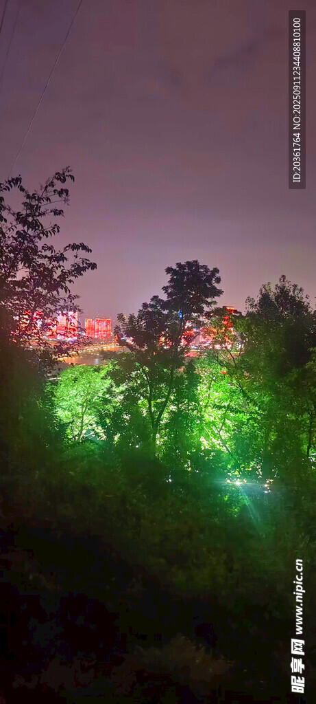 夜幕下多彩燈光映照樹林