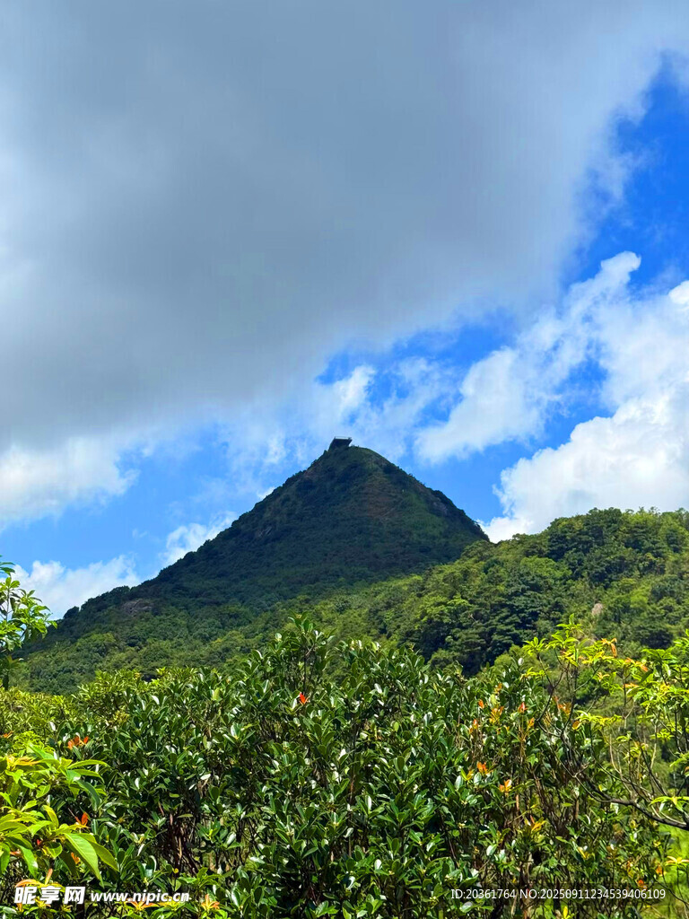 青山蔥郁間的秀麗山峰