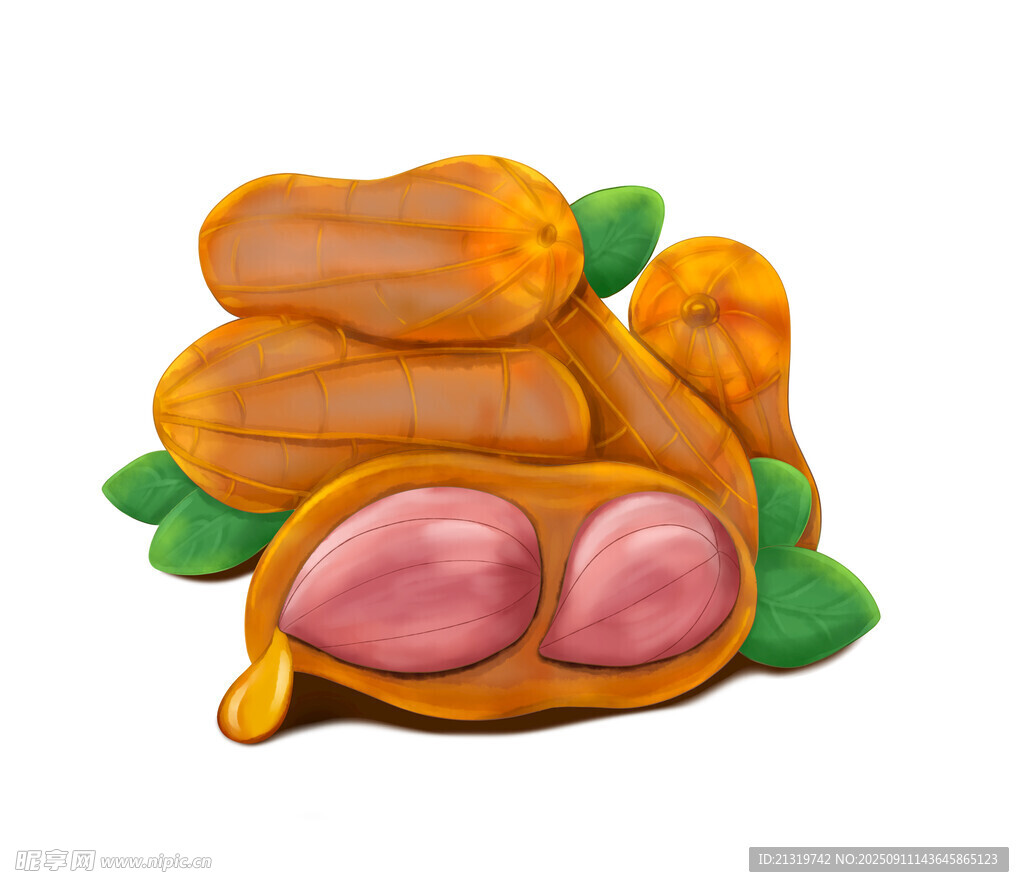 花生插畫(huà)