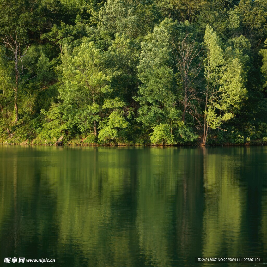 湖畔綠樹倒影的靜謐美景