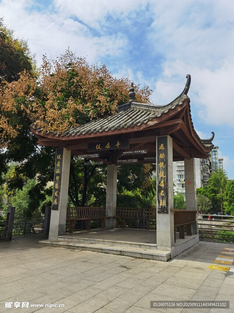中式?jīng)鐾れo立園林之中