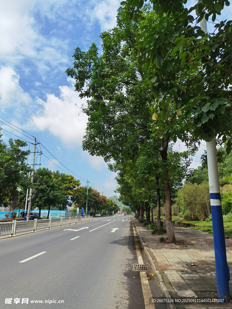 城市林蔭大道風景