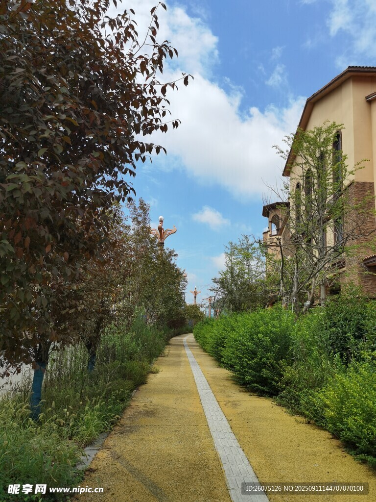 小區(qū)內(nèi)的幽靜景觀步道