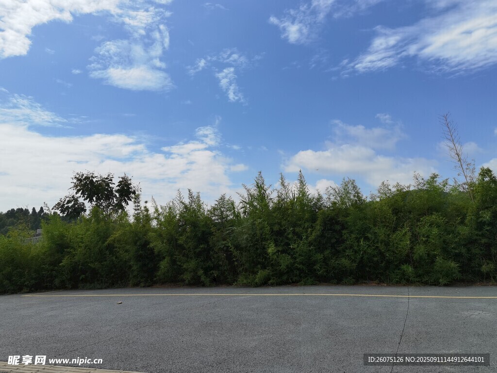 藍天綠樹旁的空曠路面