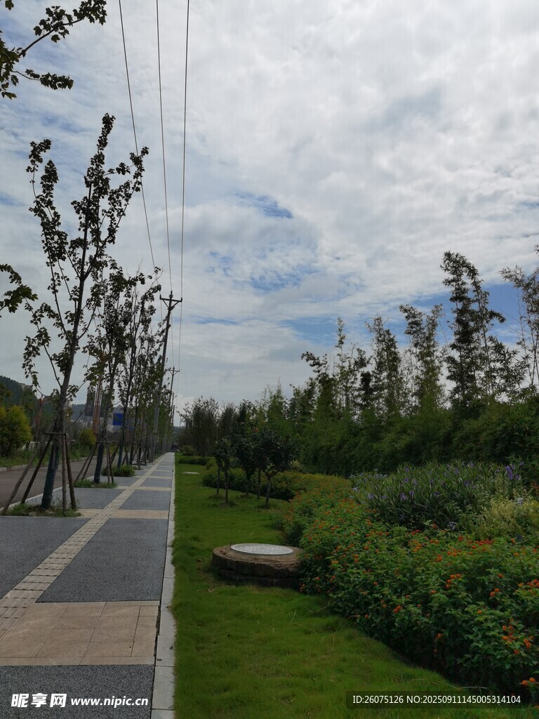 城市中清新的綠植步道景觀