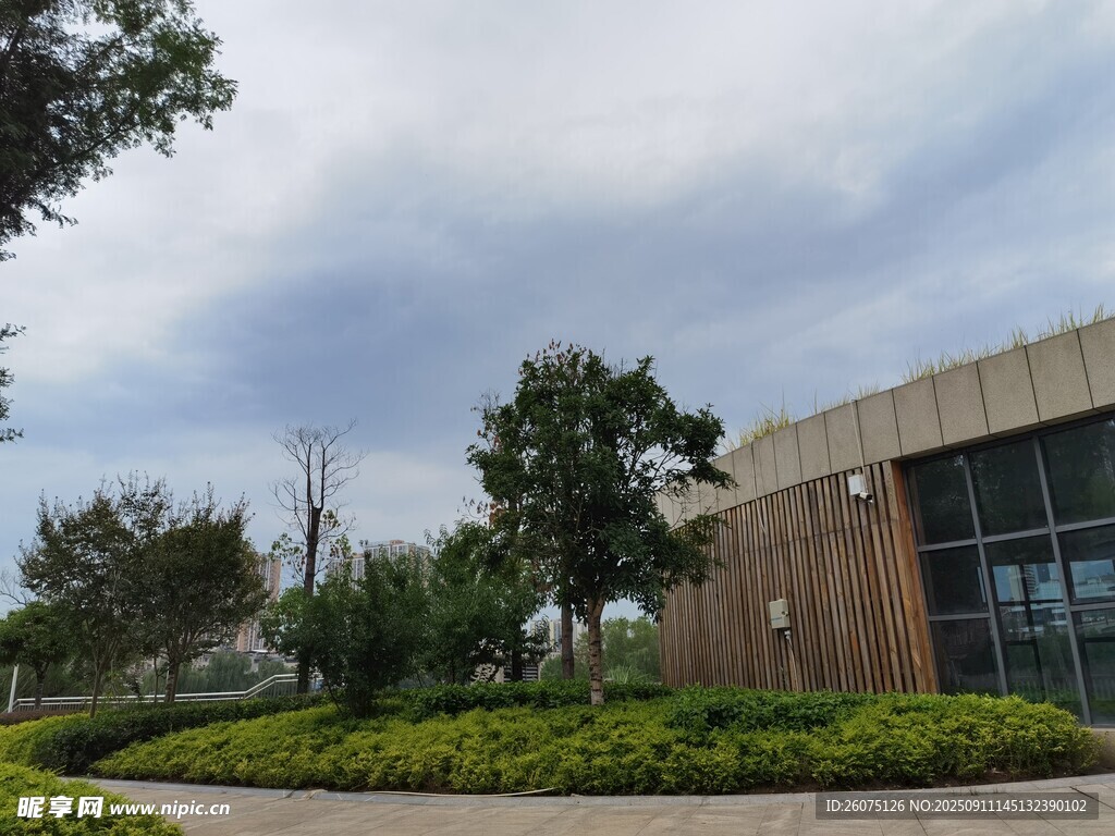 現(xiàn)代建筑旁的綠植景觀