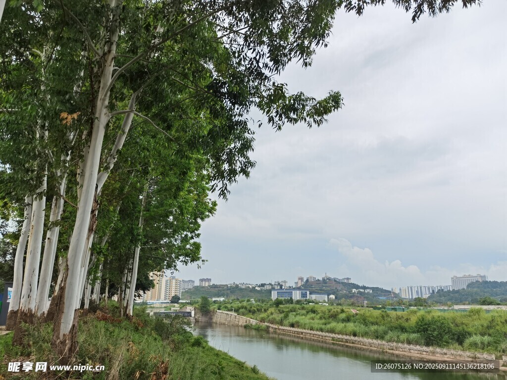 河邊綠樹成蔭的美麗景致