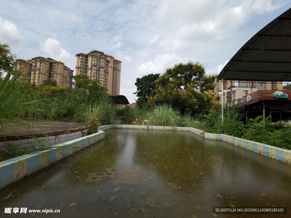城市中的靜謐水景