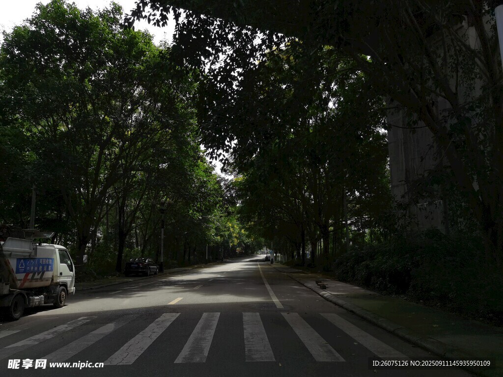 林蔭下的靜謐街道