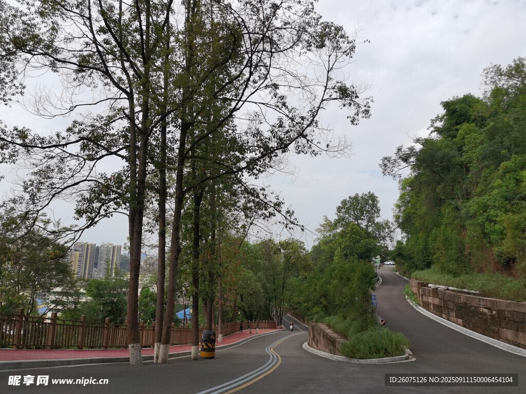 蜿蜒山間路綠樹相伴