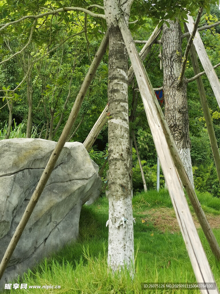 林間木架與巨石景觀