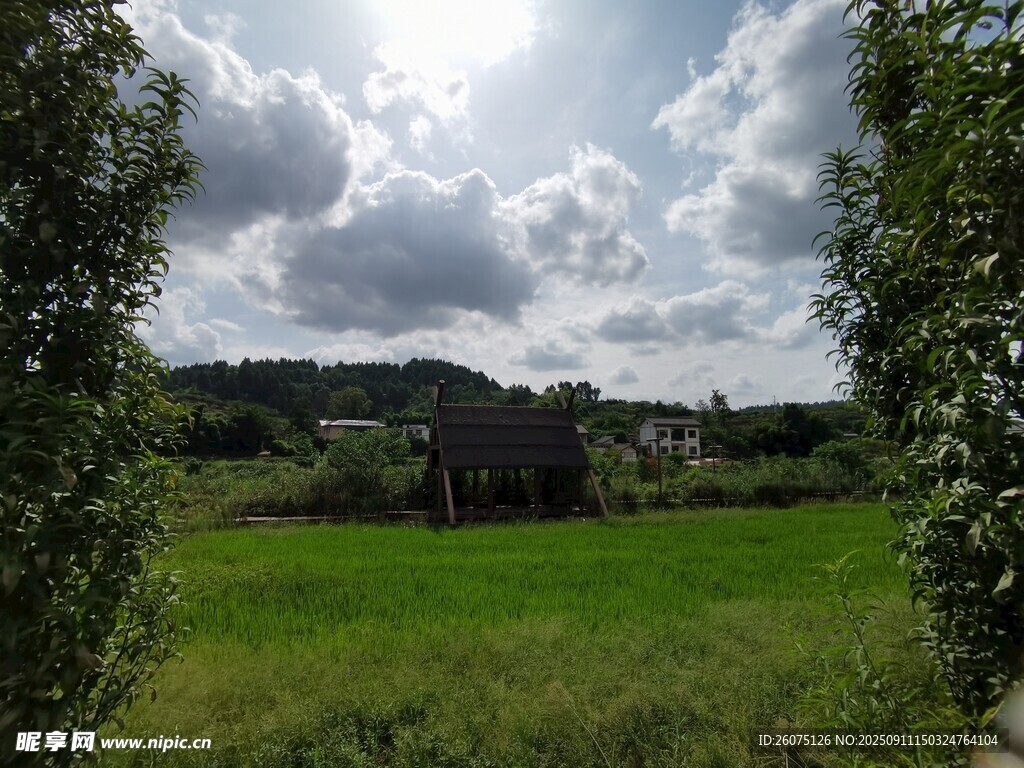 田園風(fēng)光中的開闊草地