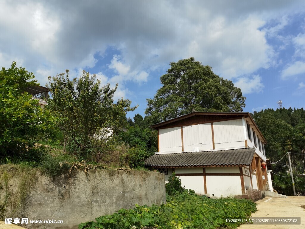 鄉(xiāng)村小屋自然環(huán)繞之景