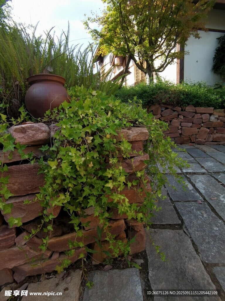 庭院綠植磚砌景觀一角