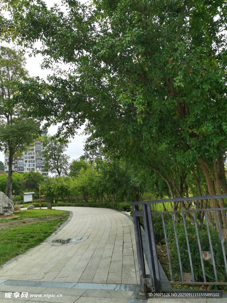 公園幽靜小路與蔥郁樹木