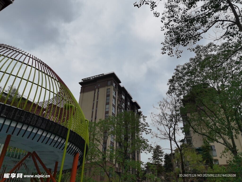 城市中的建筑與綠植景觀