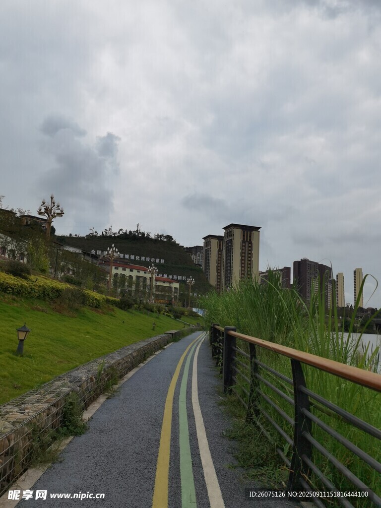 蜿蜒小路旁的綠意景致